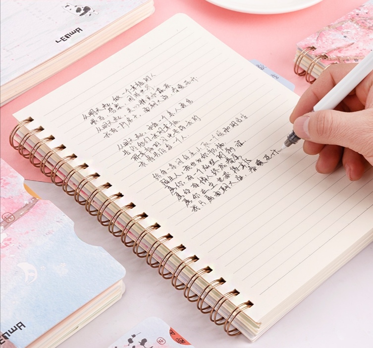 What is a 5-year diary?
