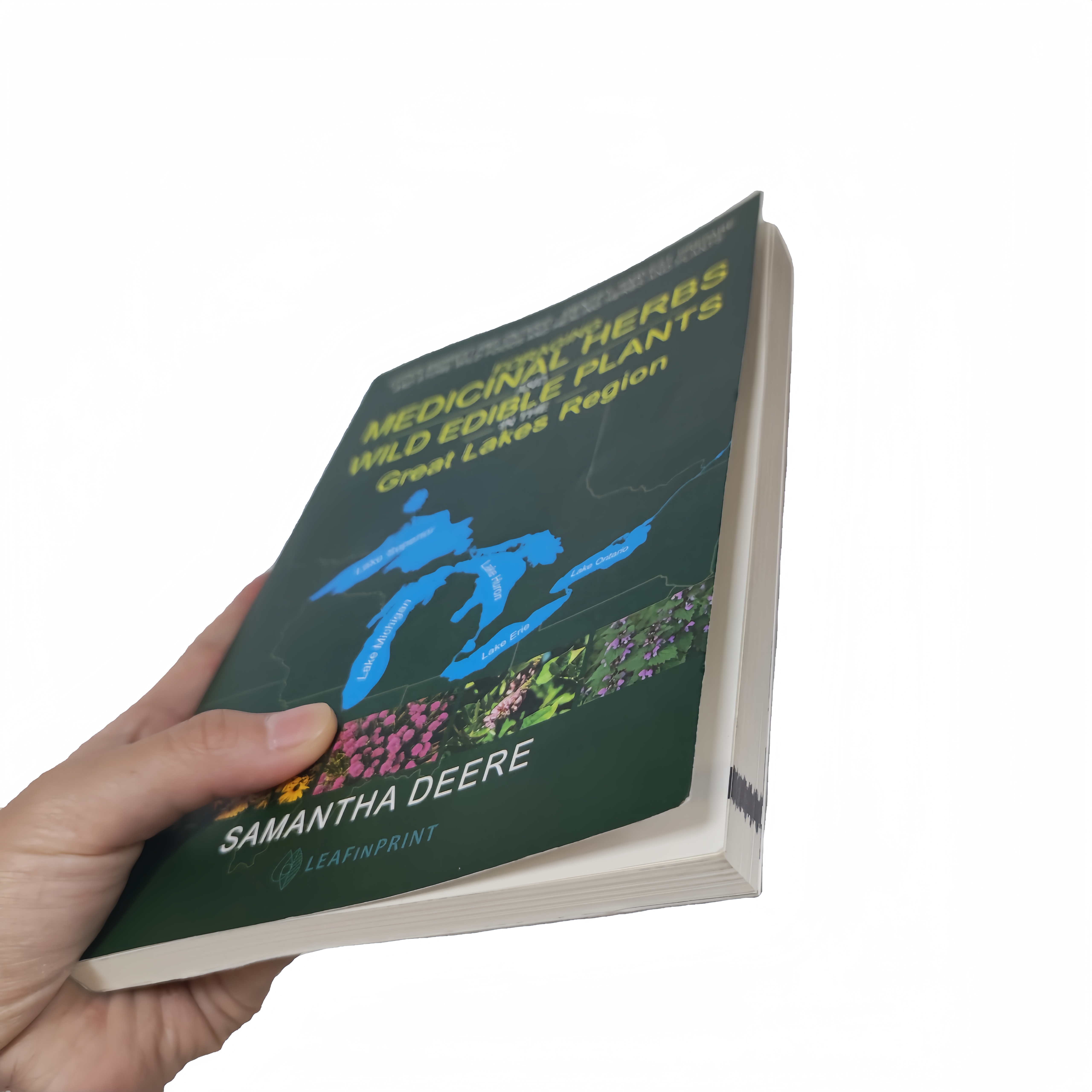 How to Custom Book Printing Service Paperback Soft Cover Book?